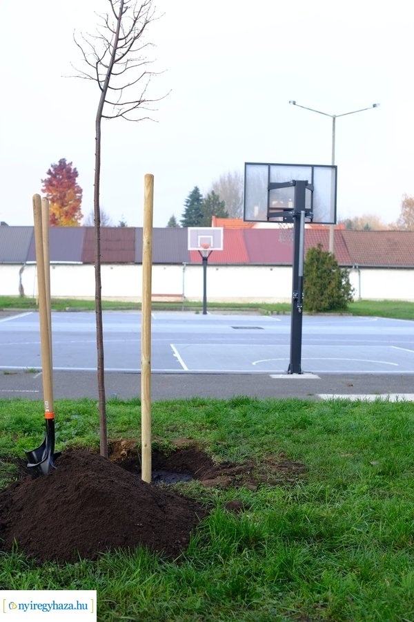 Faültetés a Törpe utcán