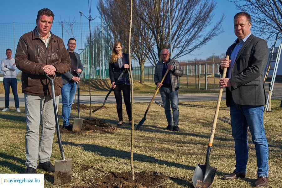 Faültetés a Törzs utcán - 20220323