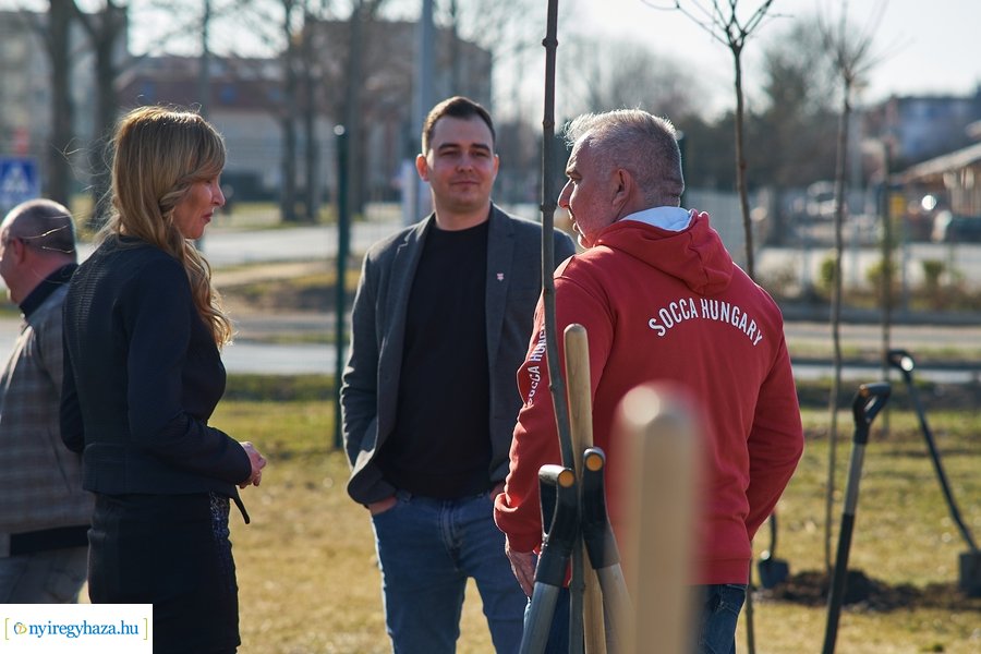 Faültetés a Törzs utcán - 20220323