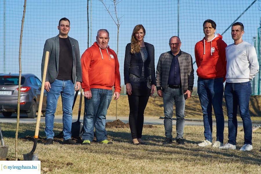 Faültetés a Törzs utcán - 20220323