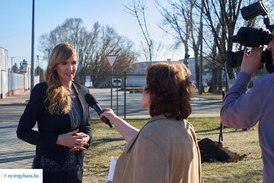 Faültetés a Törzs utcán - 20220323