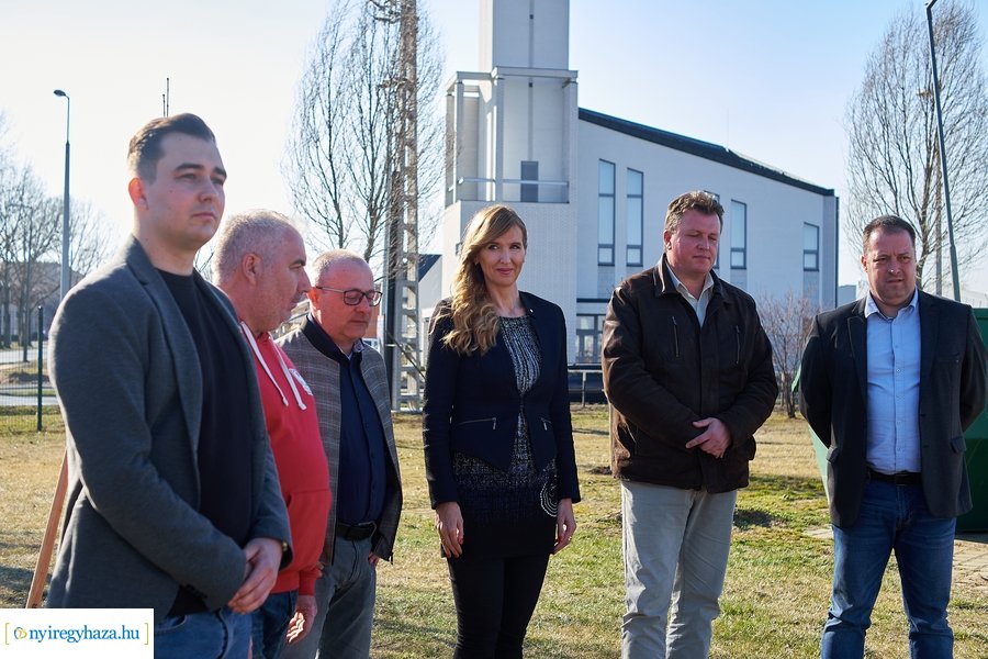 Faültetés a Törzs utcán - 20220323