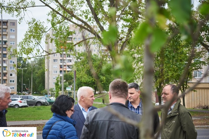 Faültetés a Törzs utcán