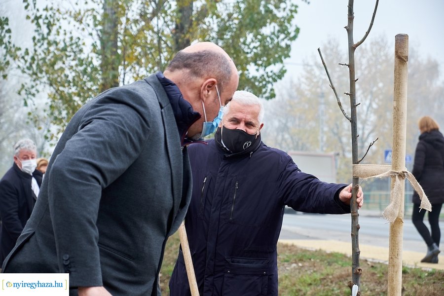 Faültetés a Tünde utcán
