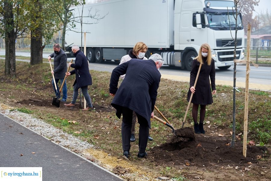 Faültetés a Tünde utcán