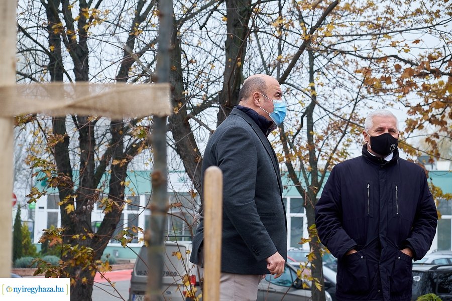 Faültetés a Tünde utcán