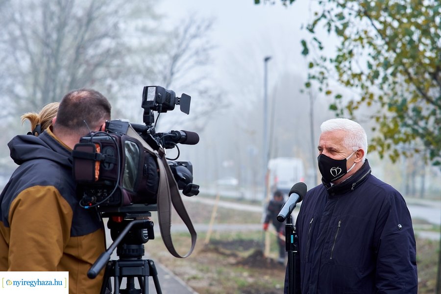 Faültetés a Tünde utcán