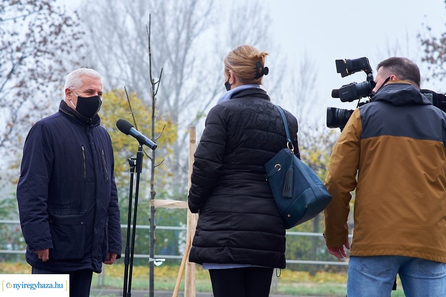 Faültetés a Tünde utcán