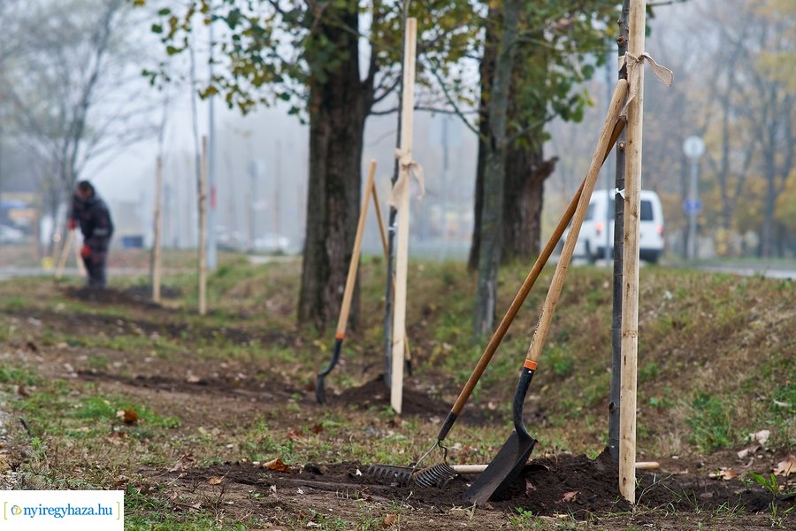 Faültetés a Tünde utcán