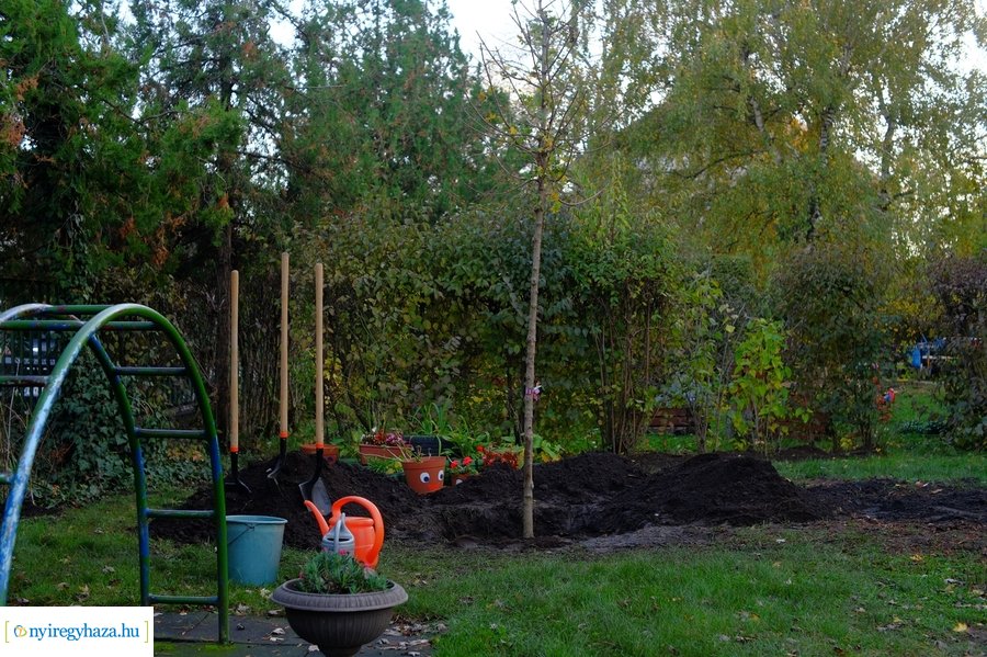 Faültetés a Virág utcai óvodában 20231109