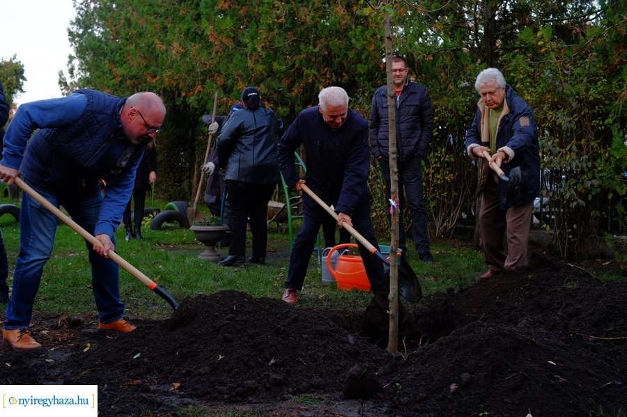 Faültetés a Virág utcai óvodában 20231109