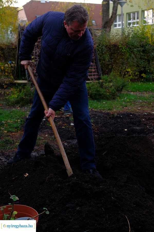 Faültetés a Virág utcai óvodában 20231109