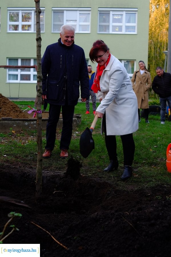 Faültetés a Virág utcai óvodában 20231109