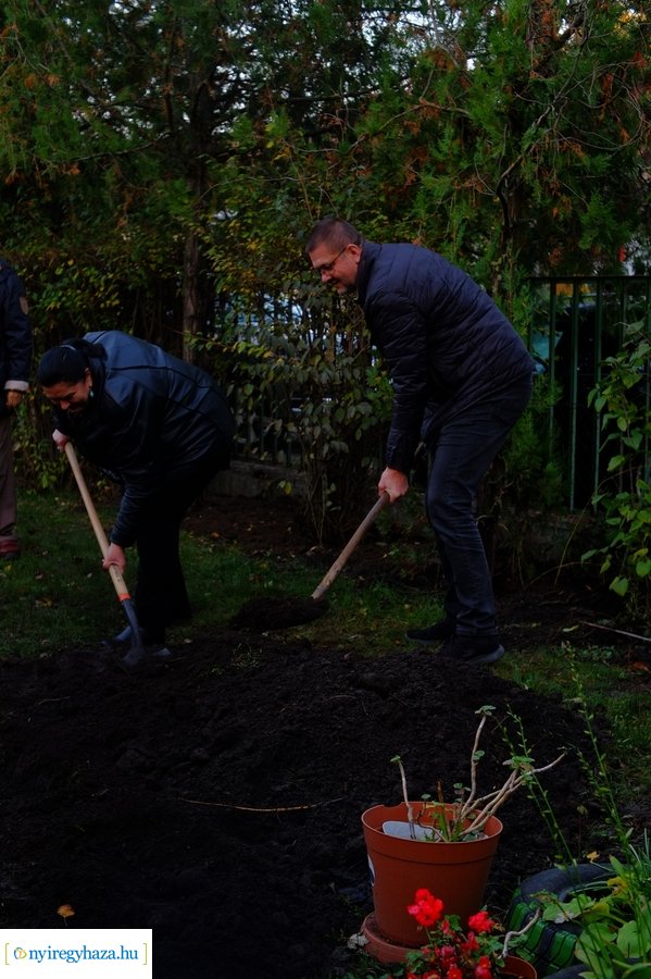 Faültetés a Virág utcai óvodában 20231109