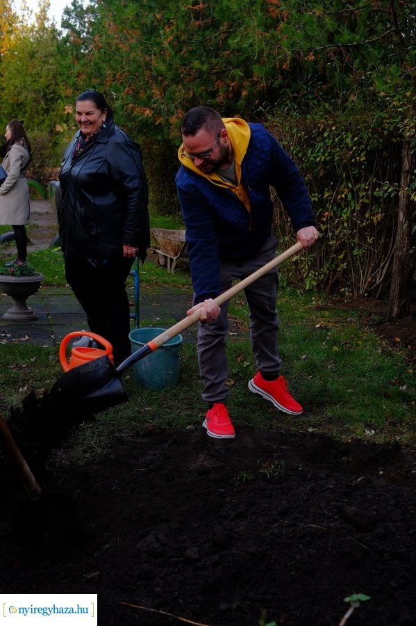 Faültetés a Virág utcai óvodában 20231109