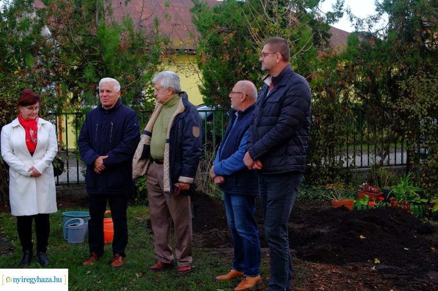 Faültetés a Virág utcai óvodában 20231109