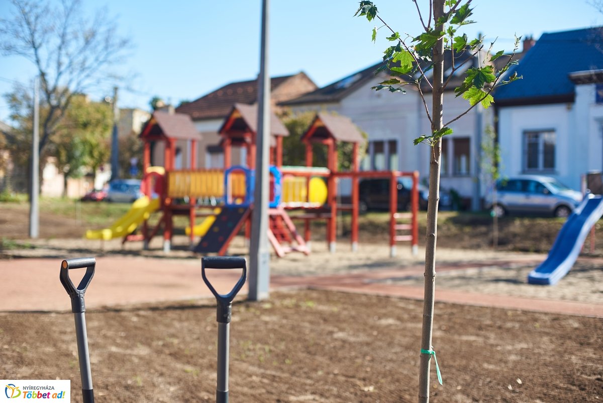 Faültetés a Vörösmarty téren