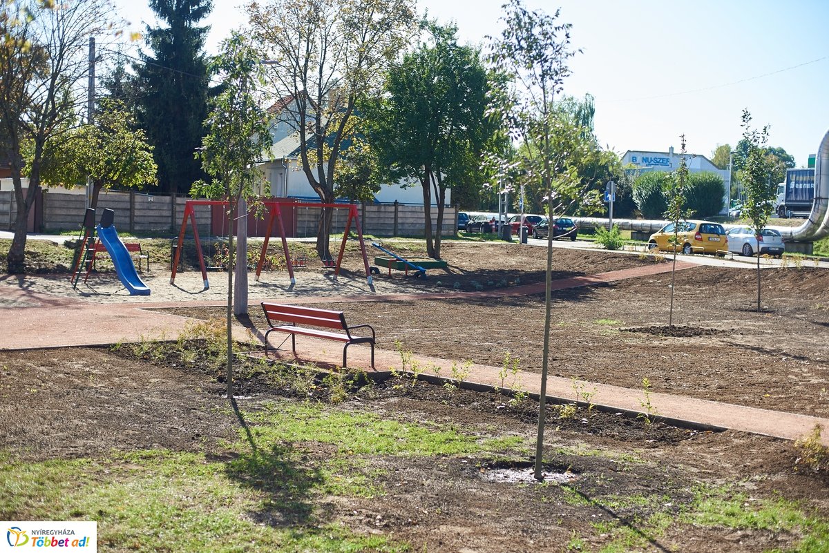 Faültetés a Vörösmarty téren