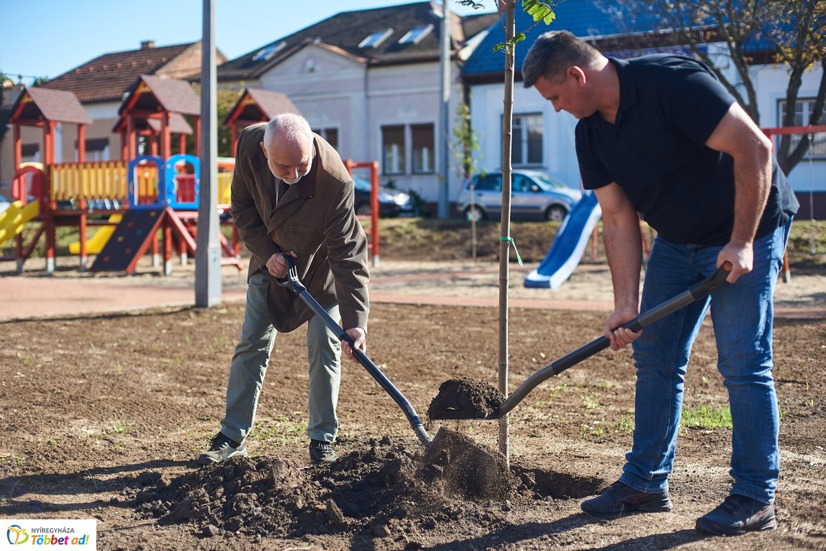 Faültetés a Vörösmarty téren