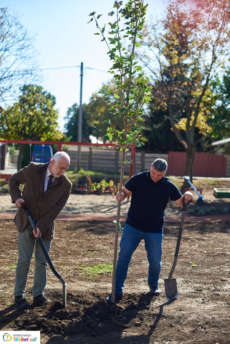 Faültetés a Vörösmarty téren