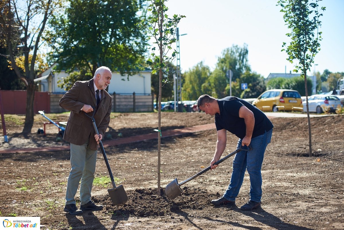 Faültetés a Vörösmarty téren