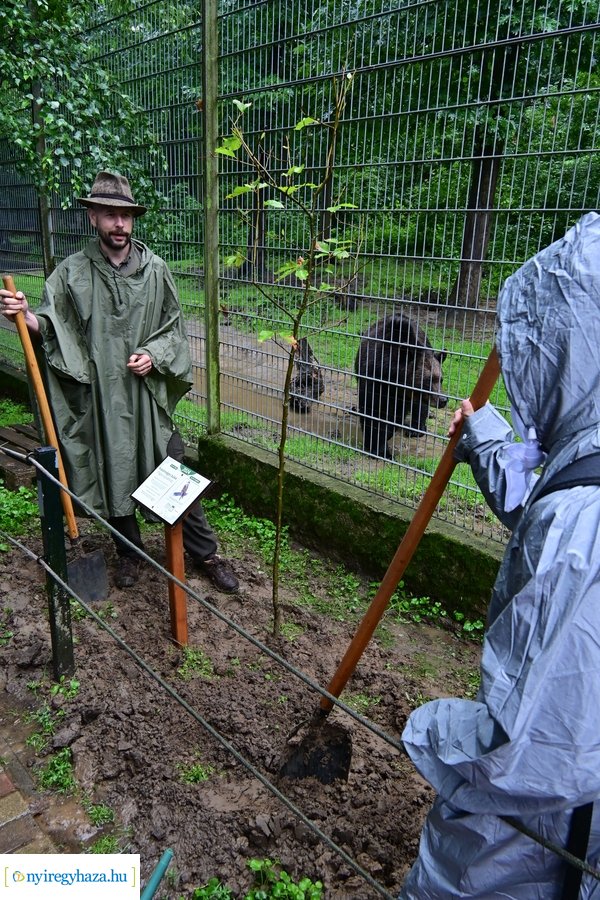 Faültetés az állatparkban
