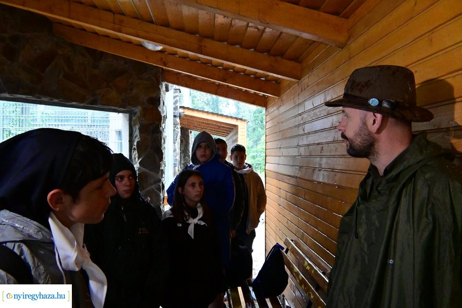 Faültetés az állatparkban