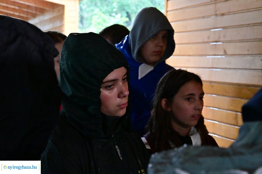 Faültetés az állatparkban