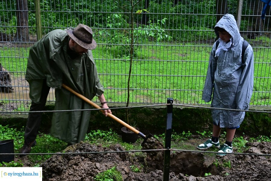 Faültetés az állatparkban
