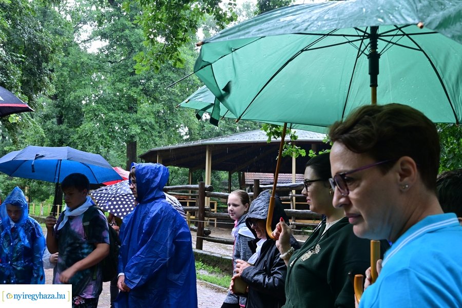 Faültetés az állatparkban