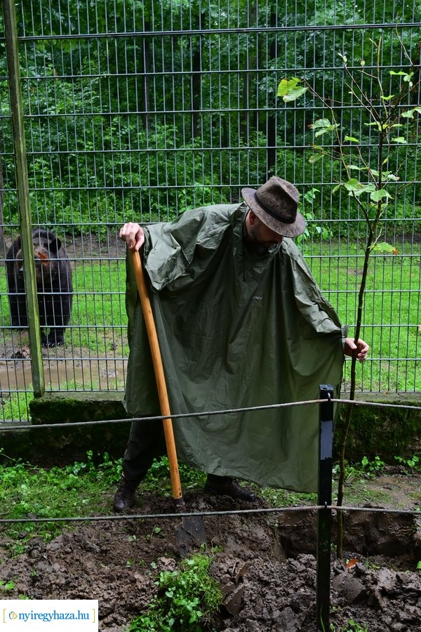 Faültetés az állatparkban