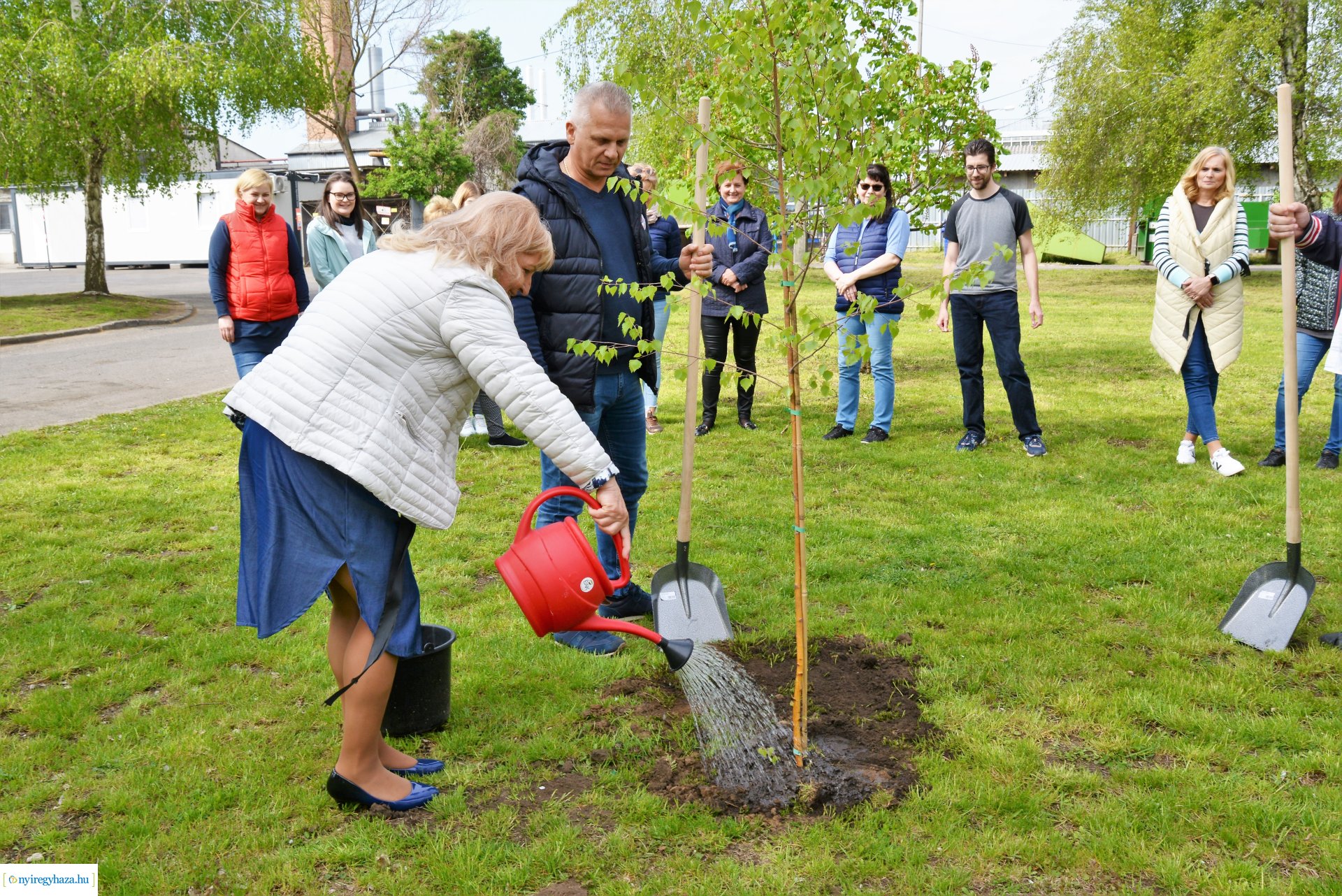 Faültetés az ÉAK Nonprofit Kft-nél a Föld napja alkalmából