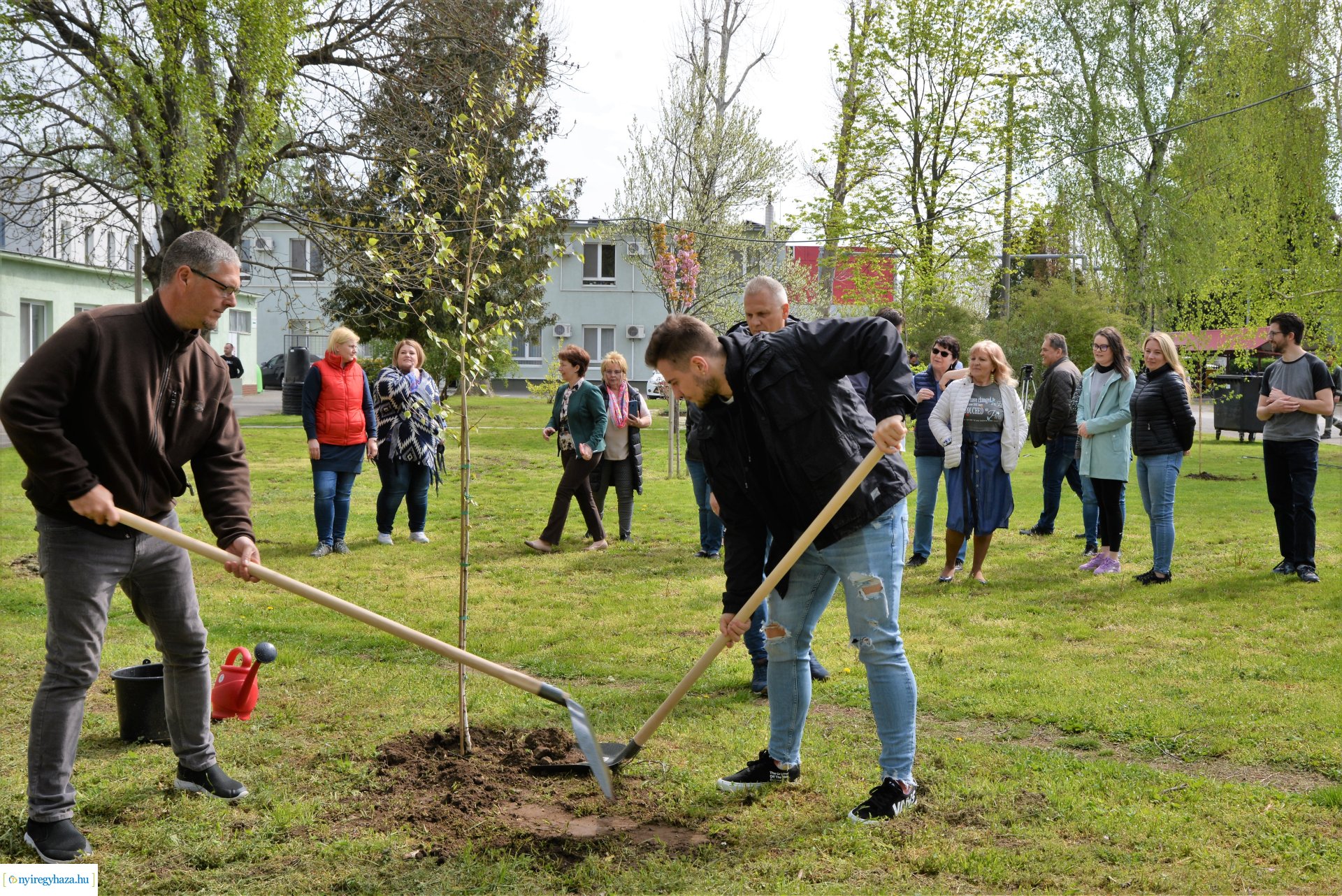 Faültetés az ÉAK Nonprofit Kft-nél a Föld napja alkalmából