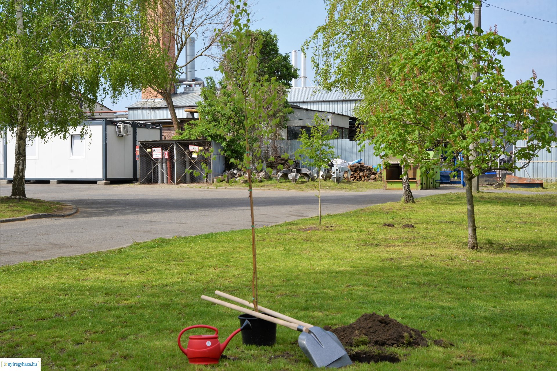 Faültetés az ÉAK Nonprofit Kft-nél a Föld napja alkalmából