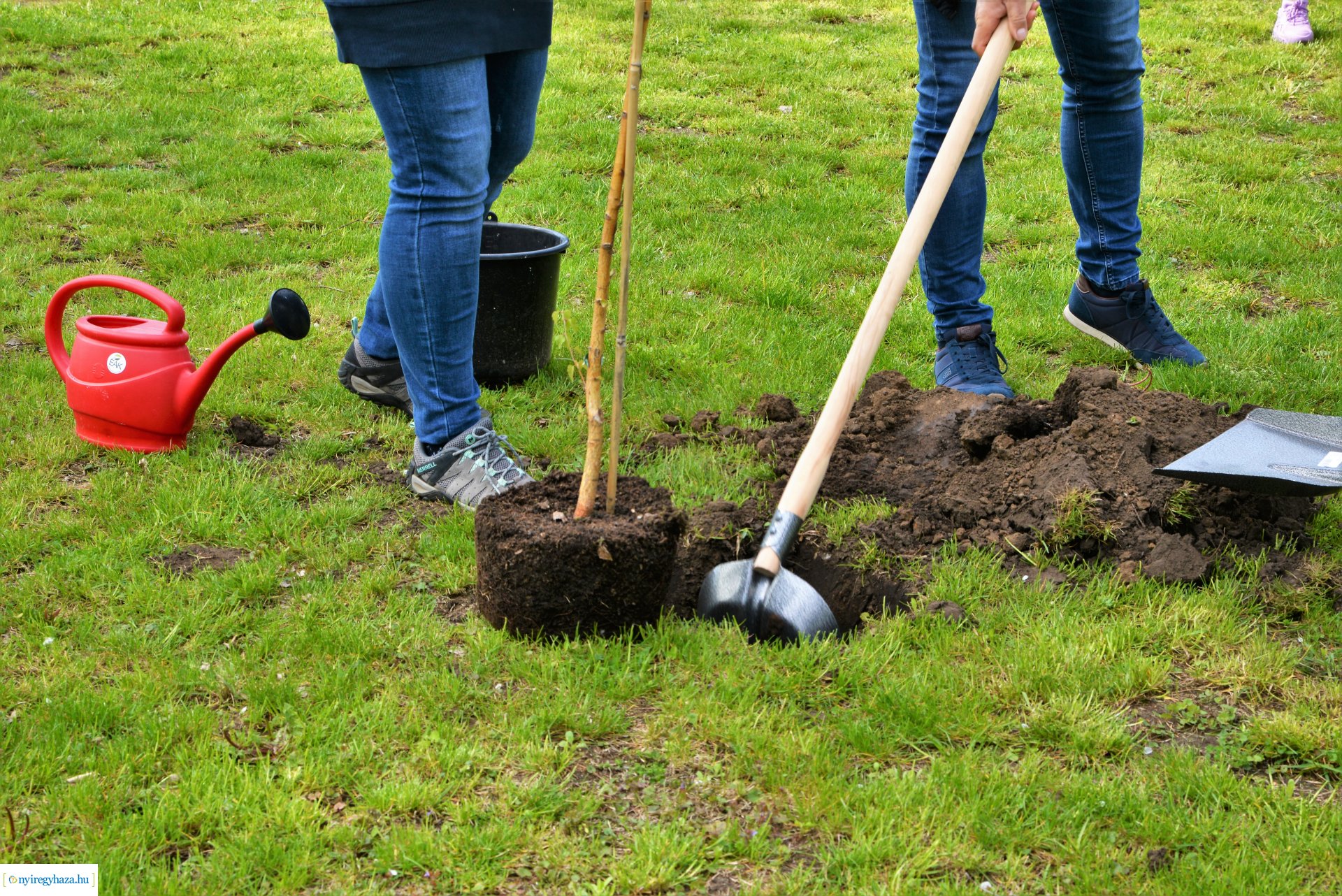 Faültetés az ÉAK Nonprofit Kft-nél a Föld napja alkalmából