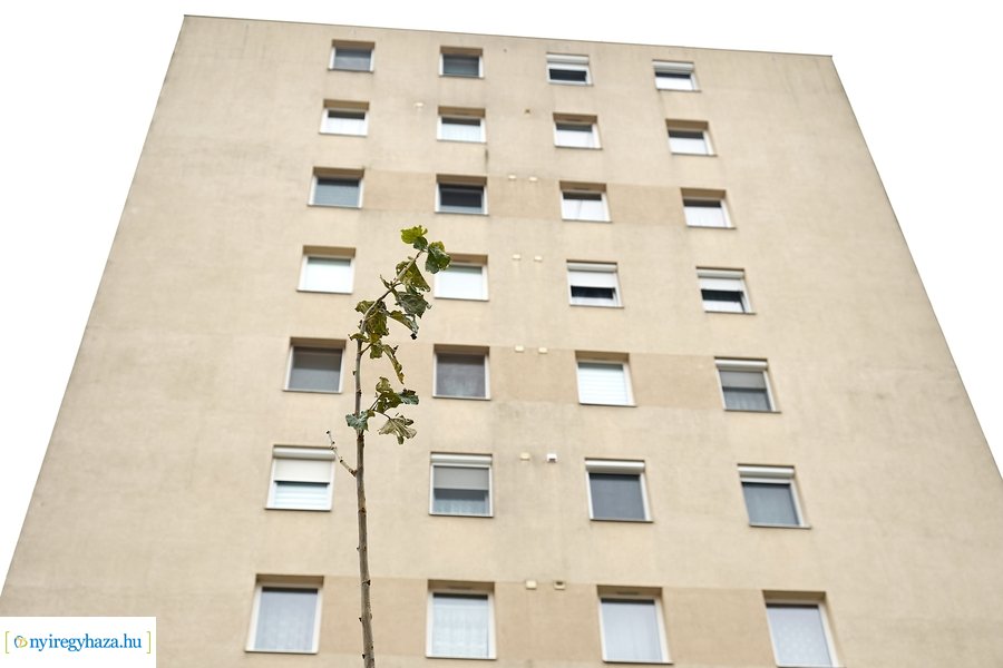 Faültetés az Ószőlő utcán