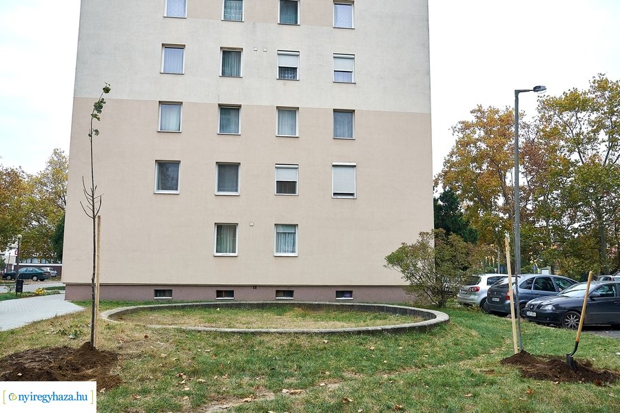 Faültetés az Ószőlő utcán