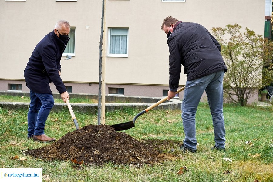 Faültetés az Ószőlő utcán