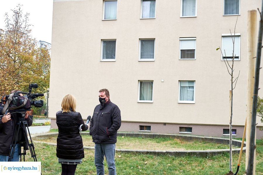 Faültetés az Ószőlő utcán
