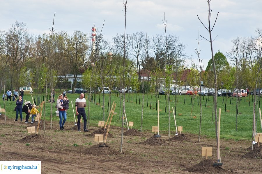 Faültetés az Újéletfa-ligetben 2022