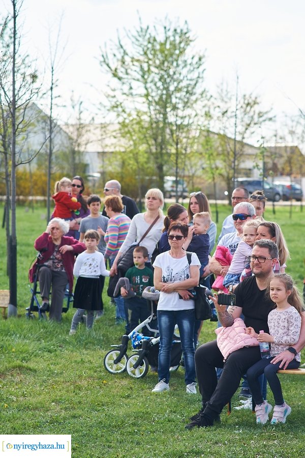 Faültetés az Újéletfa-ligetben 2022