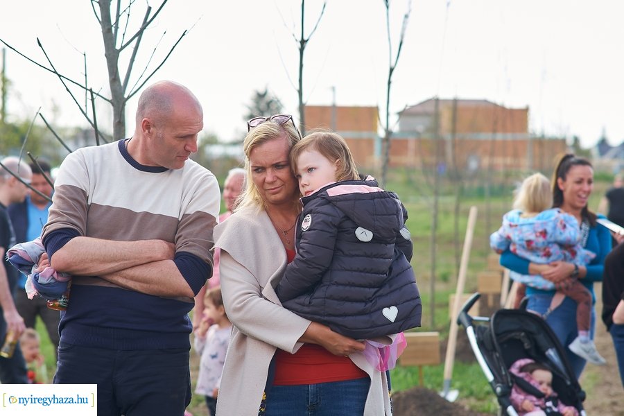 Faültetés az Újéletfa-ligetben 2022