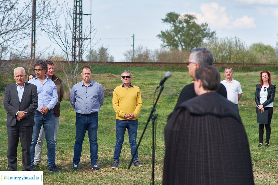 Faültetés az Újéletfa-ligetben 2022