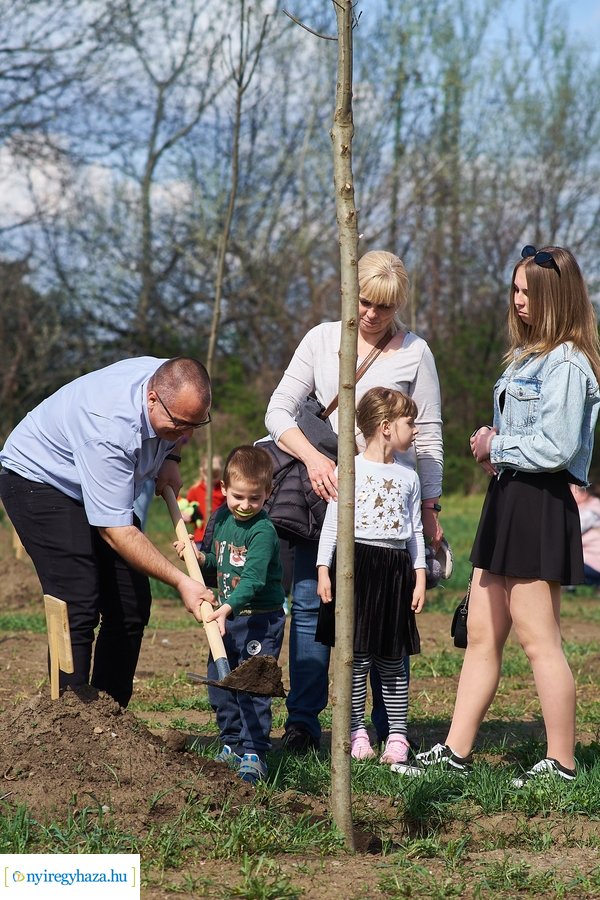 Faültetés az Újéletfa-ligetben 2022