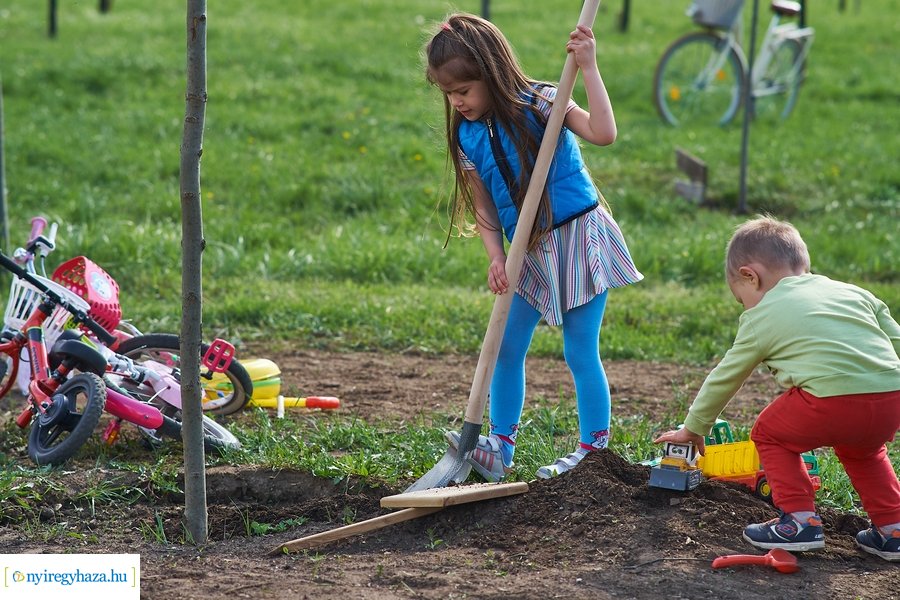 Faültetés az Újéletfa-ligetben 2022