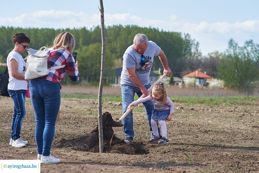 Faültetés az Újéletfa-ligetben 2022