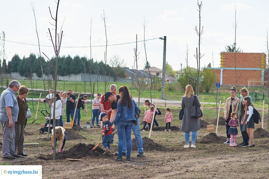 Faültetés az Újéletfa-ligetben 2022