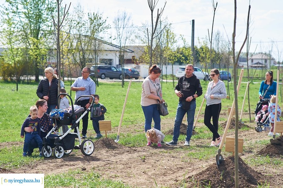 Faültetés az Újéletfa-ligetben 2022