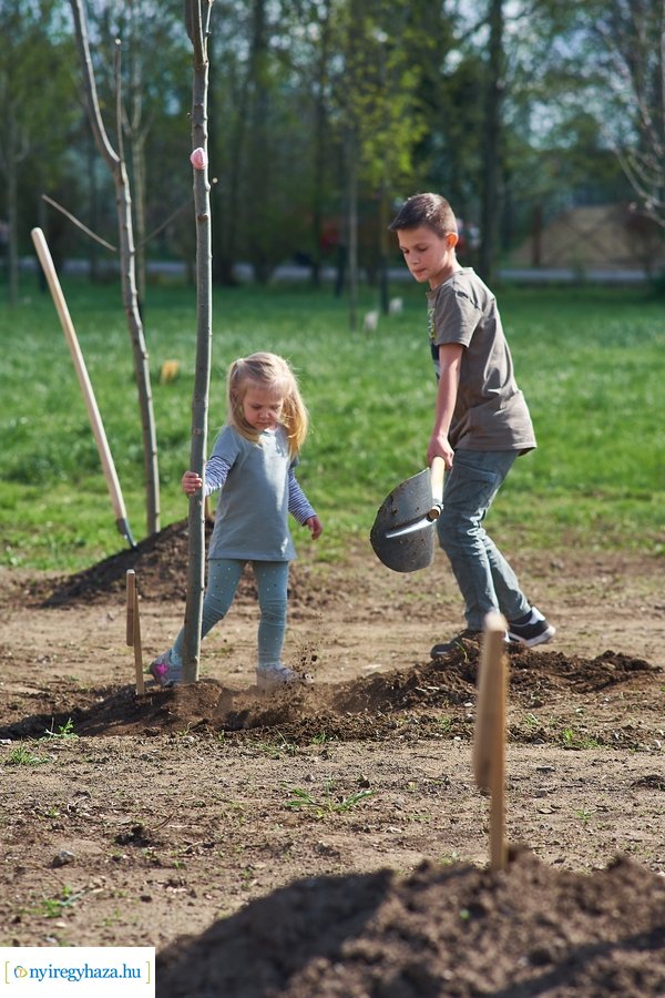 Faültetés az Újéletfa-ligetben 2022