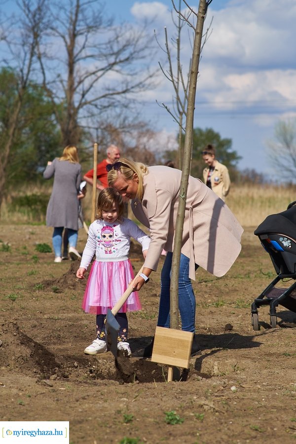 Faültetés az Újéletfa-ligetben 2022
